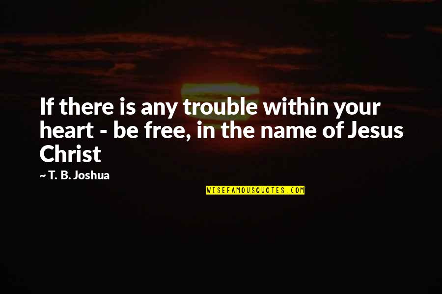General Jim Mattis Quotes By T. B. Joshua: If there is any trouble within your heart