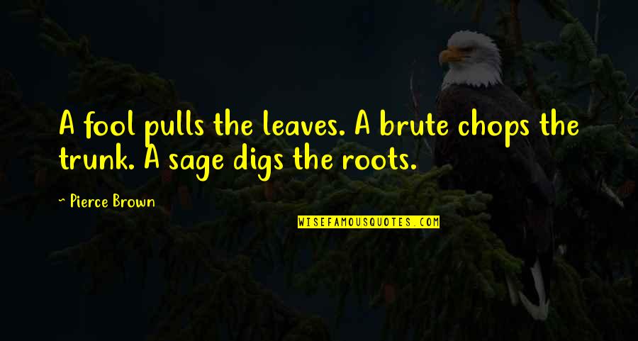 General Shoup Quotes By Pierce Brown: A fool pulls the leaves. A brute chops