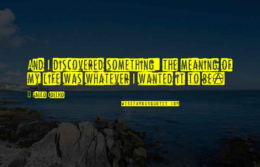 General Theory Of Love Quotes By Paulo Coelho: And I discovered something: the meaning of my