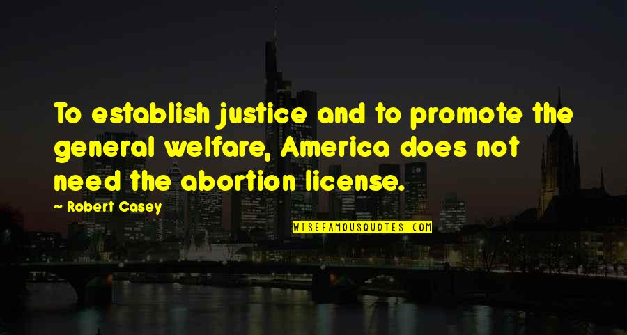 General Welfare Quotes By Robert Casey: To establish justice and to promote the general