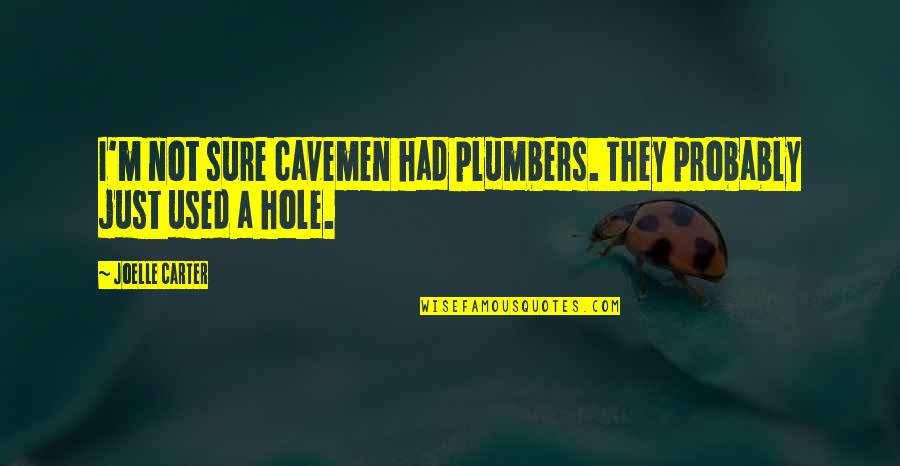 Generalao Mountain Quotes By Joelle Carter: I'm not sure cavemen had plumbers. They probably
