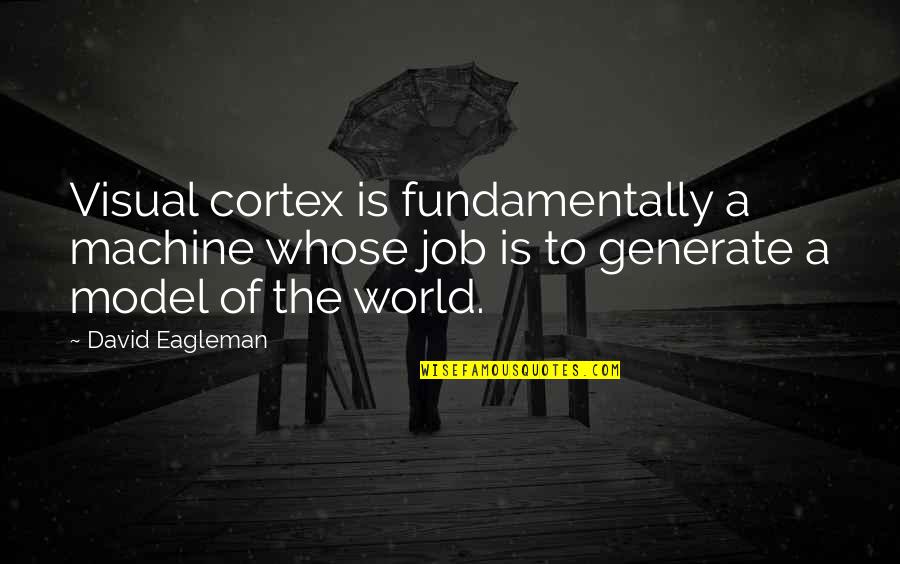 Generate Quotes By David Eagleman: Visual cortex is fundamentally a machine whose job
