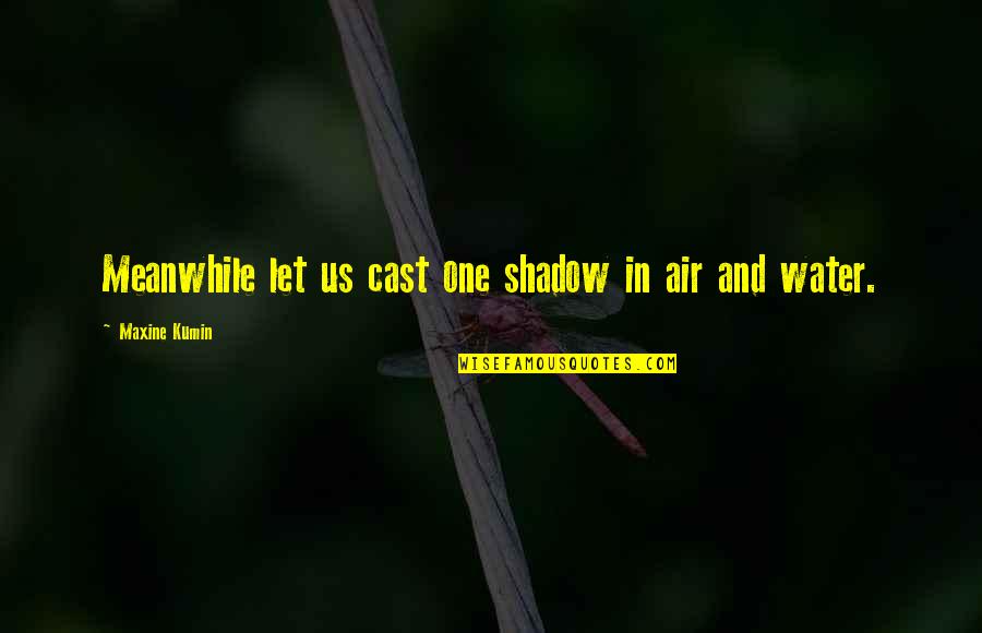 Generatie Z Quotes By Maxine Kumin: Meanwhile let us cast one shadow in air Generatie Z Quotes By Maxine Kumin: Meanwhile let us cast one shadow in air