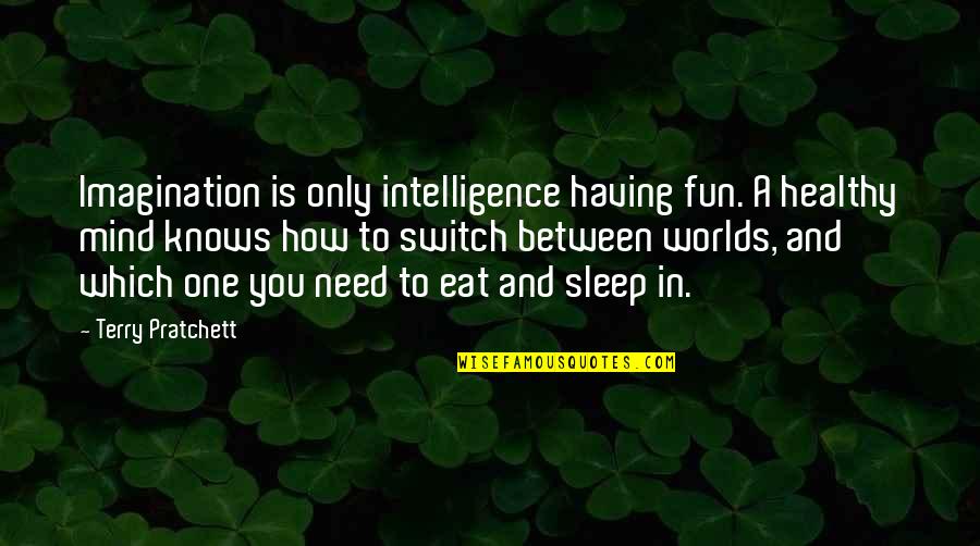 Generatiesprong Quotes By Terry Pratchett: Imagination is only intelligence having fun. A healthy