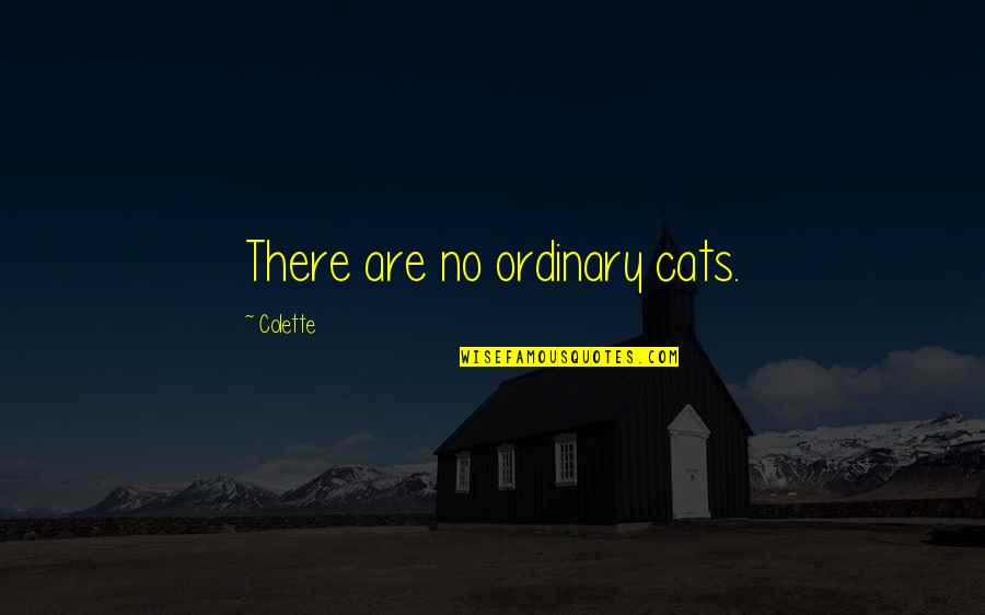 Generatrice Electrique Quotes By Colette: There are no ordinary cats.