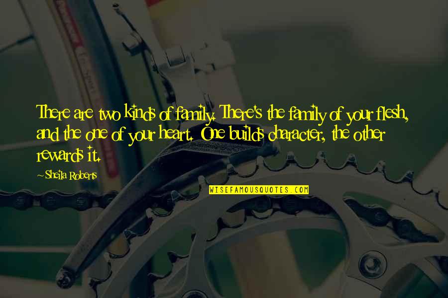 Generic Christmas Quotes By Sheila Roberts: There are two kinds of family. There's the
