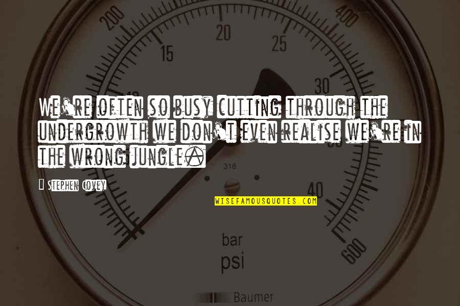 Generic Christmas Quotes By Stephen Covey: We're often so busy cutting through the undergrowth