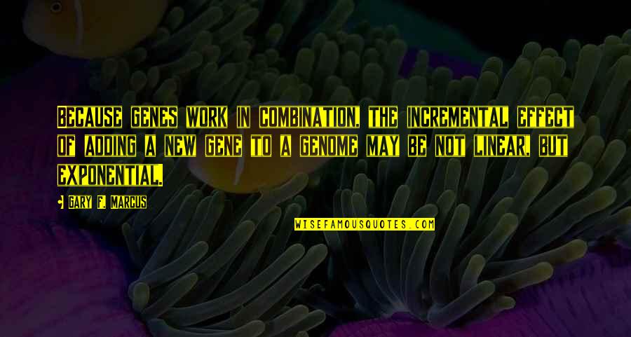 Genes Quotes By Gary F. Marcus: Because genes work in combination, the incremental effect