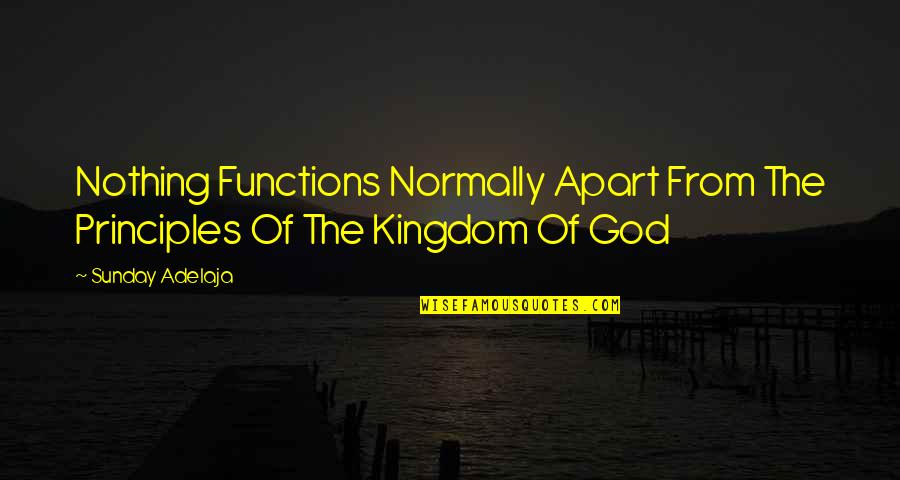 Geniale Menschen Quotes By Sunday Adelaja: Nothing Functions Normally Apart From The Principles Of