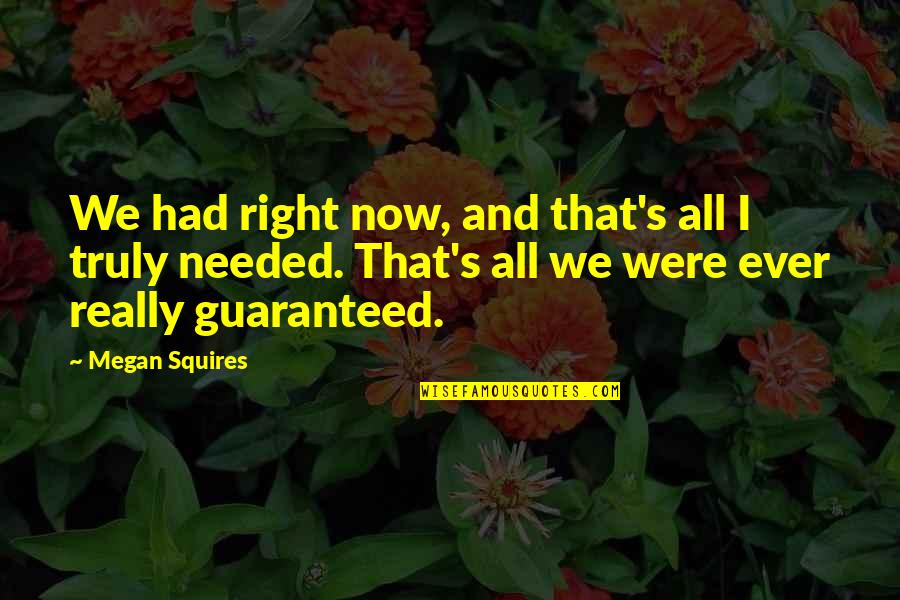 Geniales Pronunciation Quotes By Megan Squires: We had right now, and that's all I