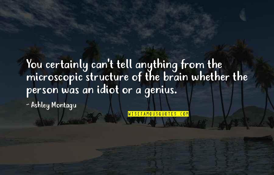 Genius And Idiot Quotes By Ashley Montagu: You certainly can't tell anything from the microscopic