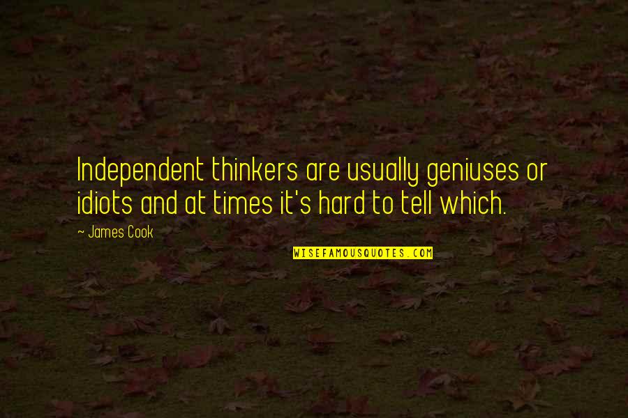 Genius And Idiot Quotes By James Cook: Independent thinkers are usually geniuses or idiots and