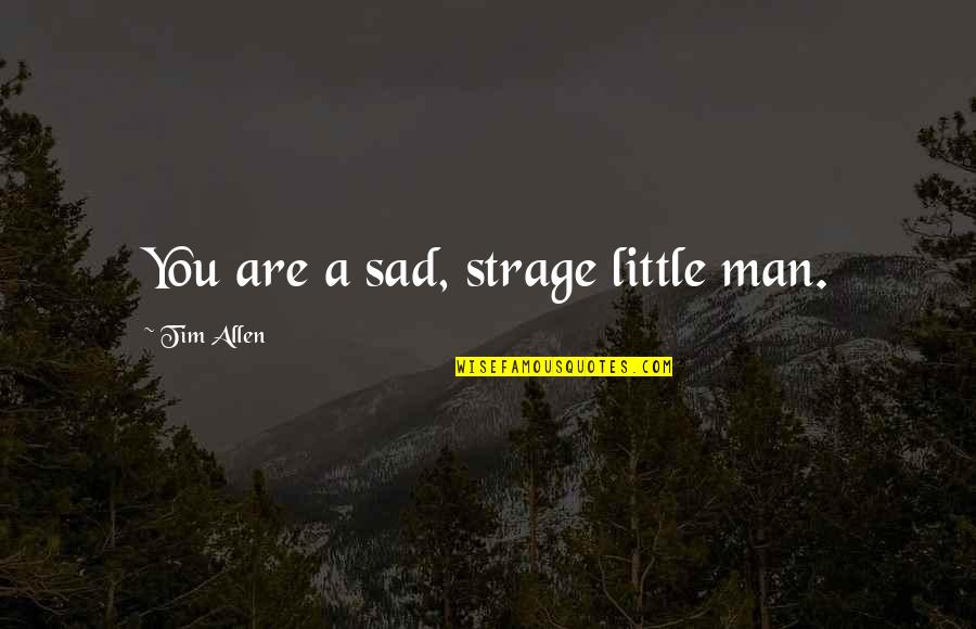 Genius And Insanity Quote Quotes By Tim Allen: You are a sad, strage little man. Genius And Insanity Quote Quotes By Tim Allen: You are a sad, strage little man.