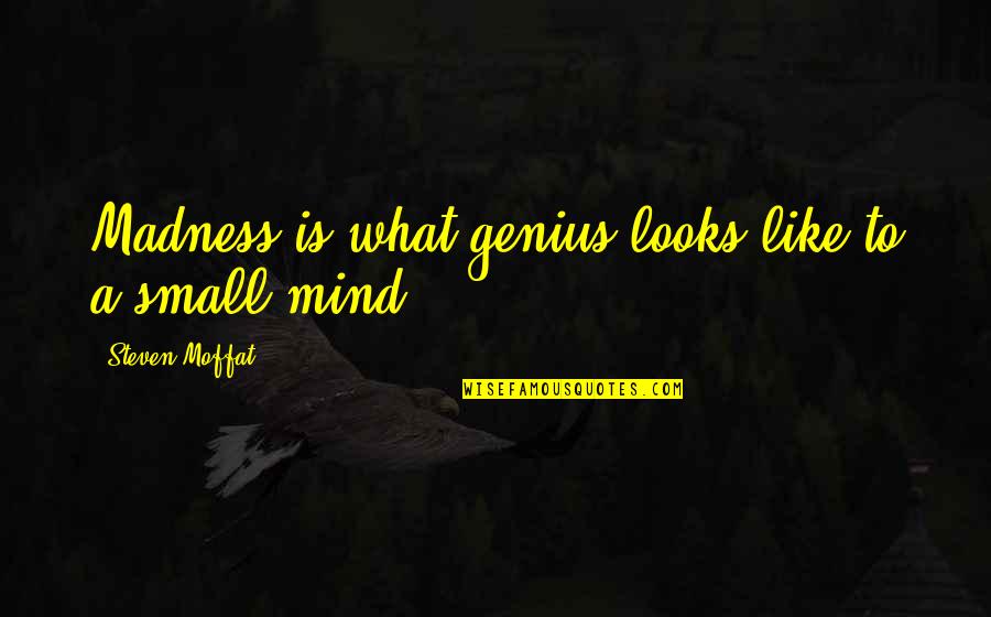 Genius And Madness Quotes By Steven Moffat: Madness is what genius looks like to a