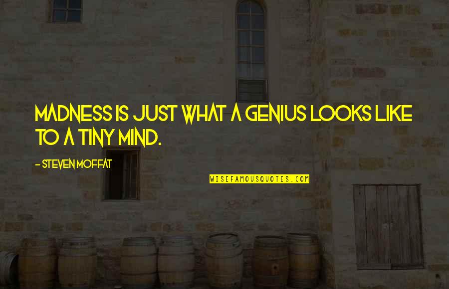 Genius And Madness Quotes By Steven Moffat: Madness is just what a genius looks like