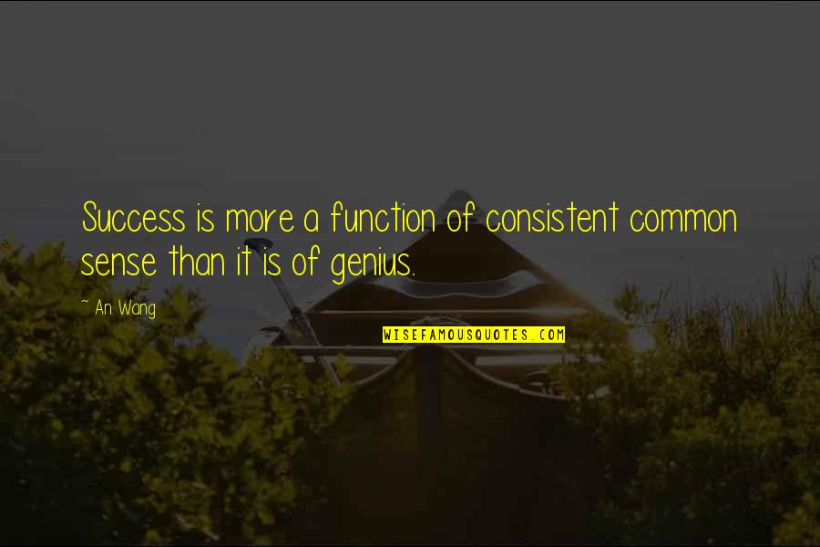 Genius And Success Quotes By An Wang: Success is more a function of consistent common