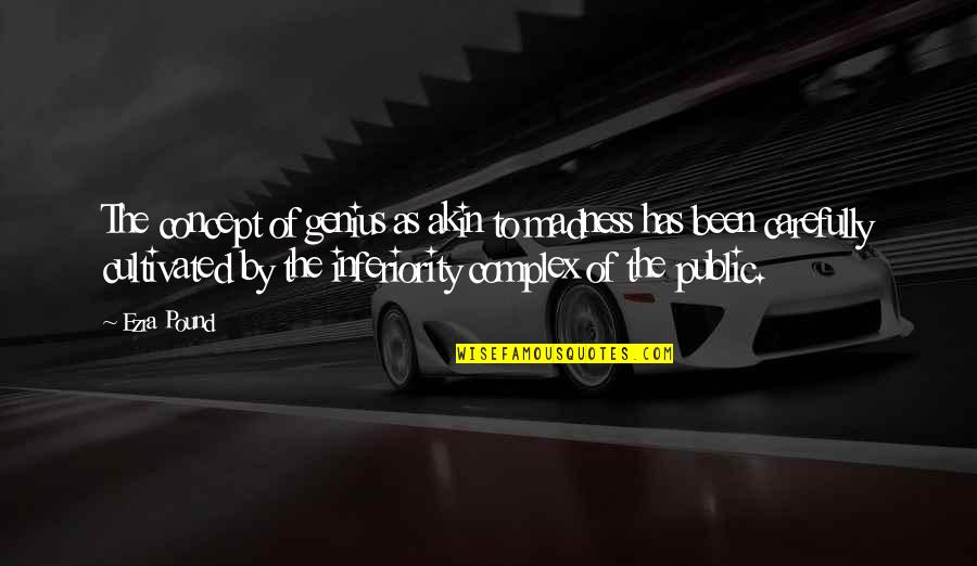 Genius Madness Quotes By Ezra Pound: The concept of genius as akin to madness Genius Madness Quotes By Ezra Pound: The concept of genius as akin to madness