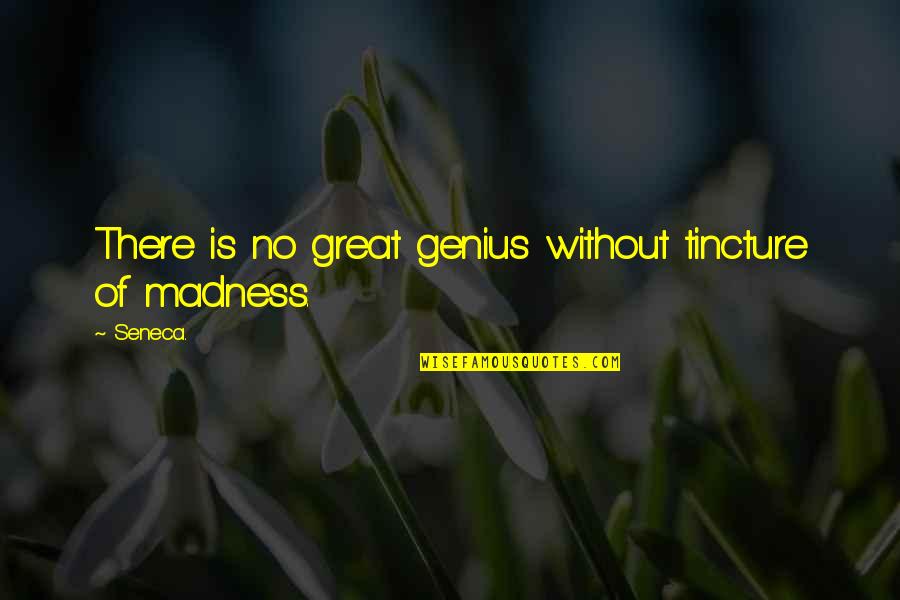 Genius Madness Quotes By Seneca.: There is no great genius without tincture of