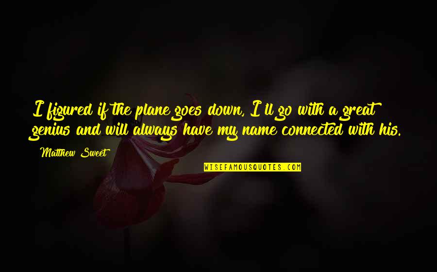Genius The Great Quotes By Matthew Sweet: I figured if the plane goes down, I'll