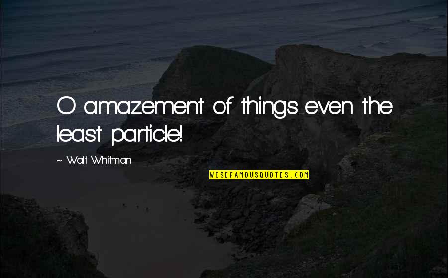 Genlis 21 Quotes By Walt Whitman: O amazement of things-even the least particle!
