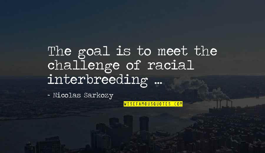 Genocide Quotes By Nicolas Sarkozy: The goal is to meet the challenge of