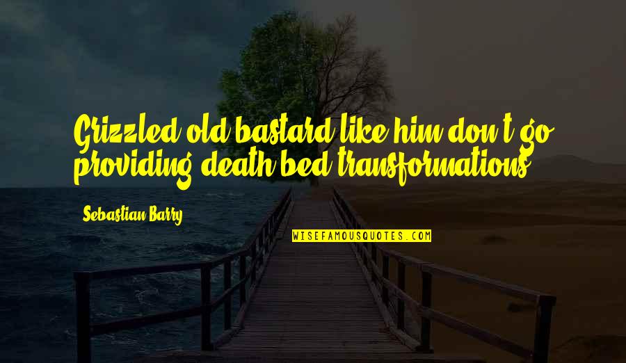 Genoveses Hours Quotes By Sebastian Barry: Grizzled old bastard like him don't go providing