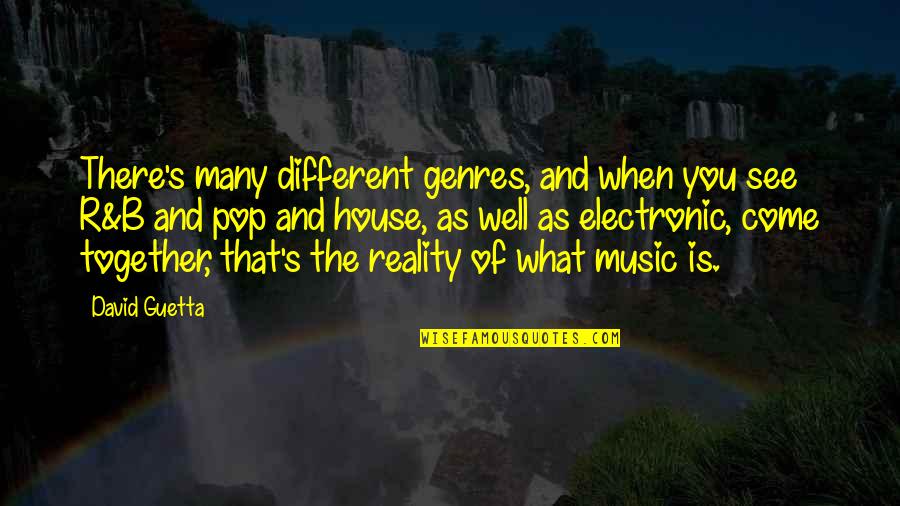 Genres Of Music Quotes By David Guetta: There's many different genres, and when you see