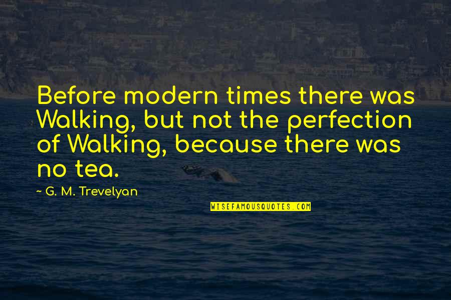 Gente Negativa Quotes By G. M. Trevelyan: Before modern times there was Walking, but not