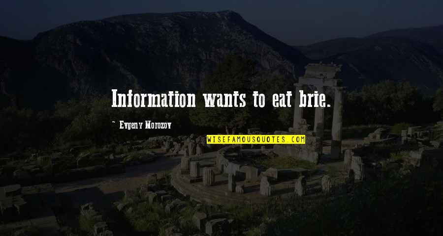 Gentleman Inspiring Quotes By Evgeny Morozov: Information wants to eat brie.