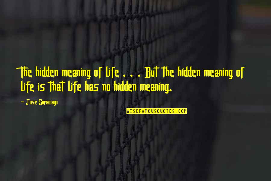 Gentleman Words Quotes By Jose Saramago: The hidden meaning of life . . .