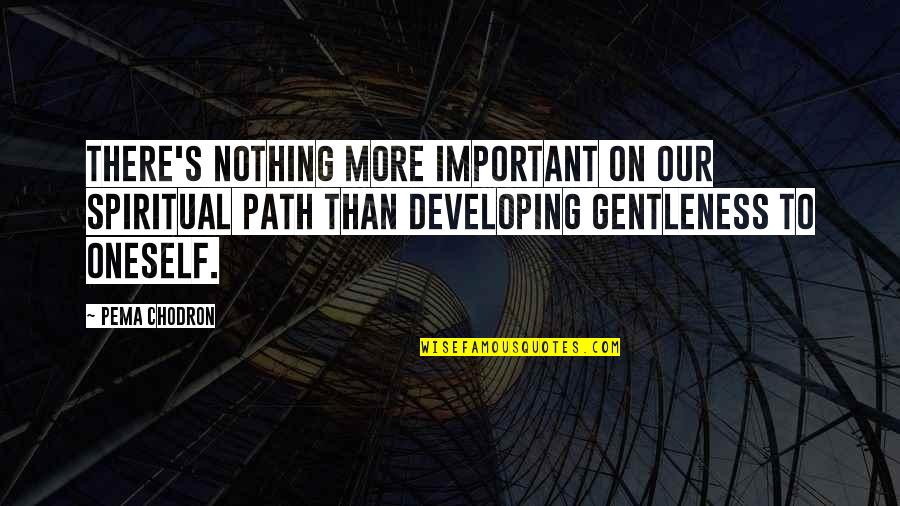 Gentleness Quotes By Pema Chodron: There's nothing more important on our spiritual path