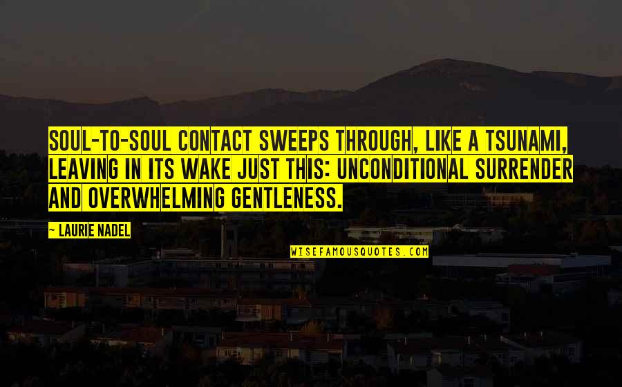 Gentleness Quotes Quotes By Laurie Nadel: Soul-to-soul contact sweeps through, like a tsunami, leaving