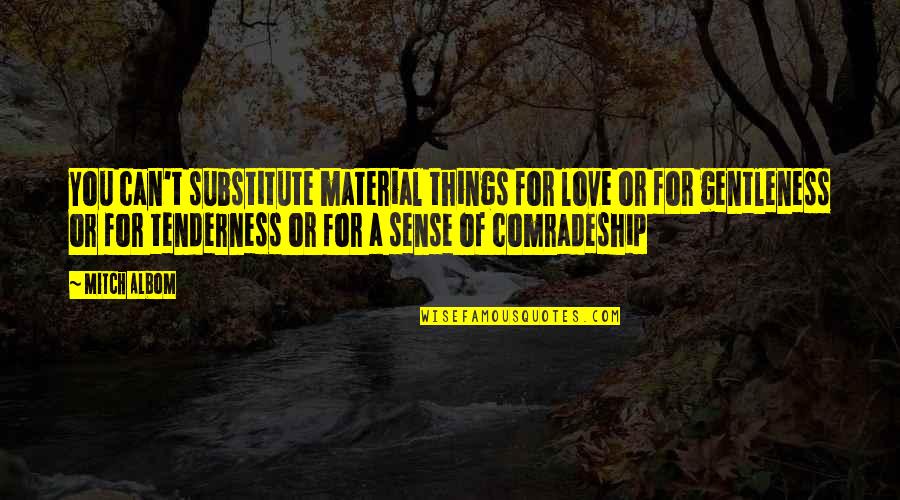 Gentleness Quotes Quotes By Mitch Albom: You can't substitute material things for love or