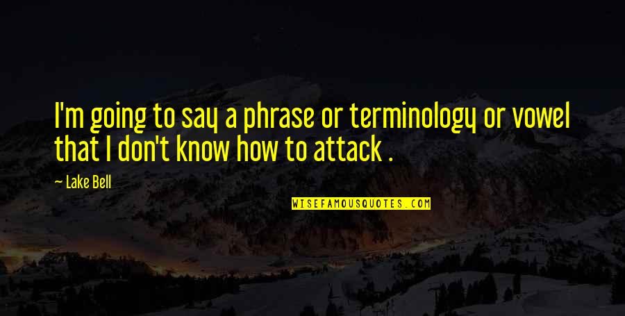 Gentlymanly Quotes By Lake Bell: I'm going to say a phrase or terminology