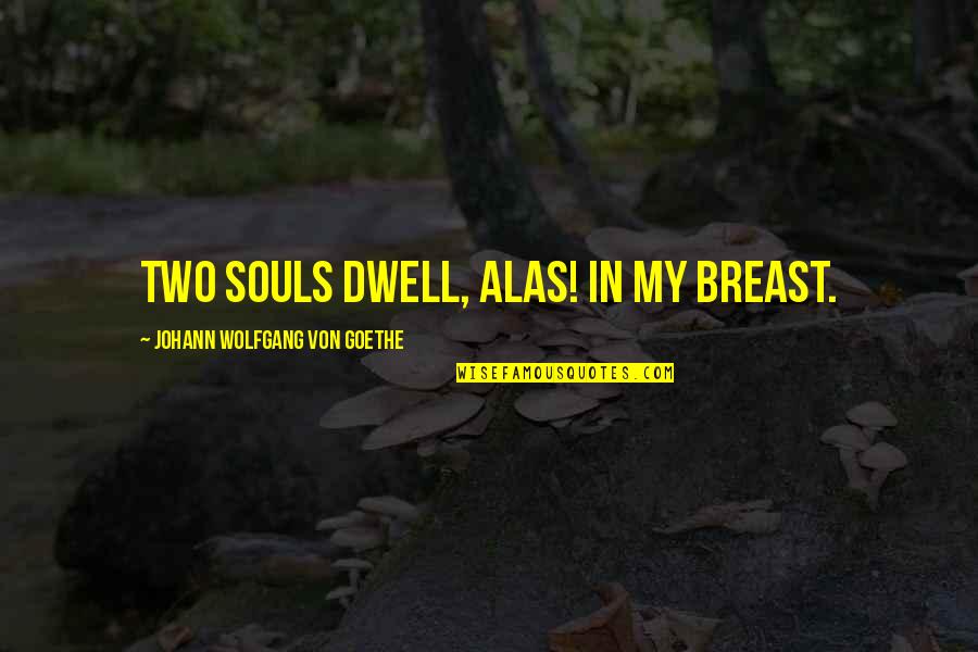Genuflected In A Sentence Quotes By Johann Wolfgang Von Goethe: Two souls dwell, alas! in my breast.