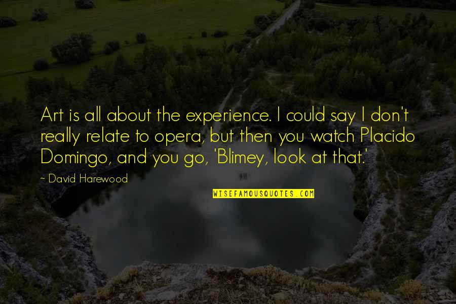 Geocacher Quotes By David Harewood: Art is all about the experience. I could