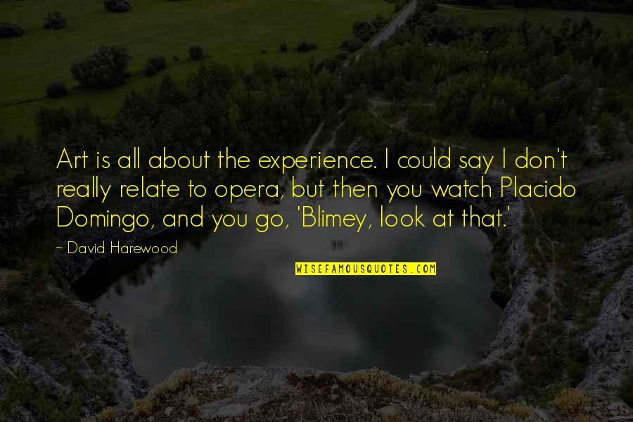 Geocacher Quotes By David Harewood: Art is all about the experience. I could Geocacher Quotes By David Harewood: Art is all about the experience. I could
