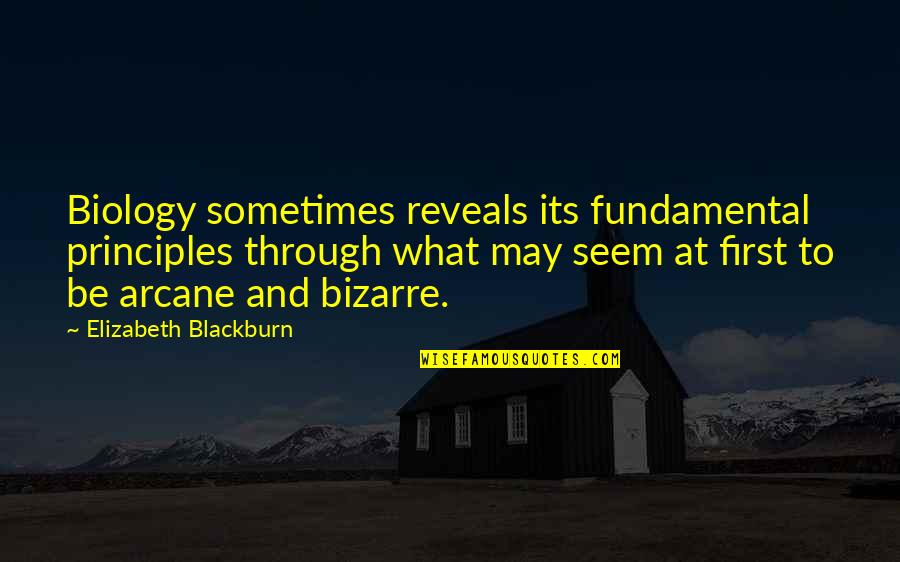 Geochache Quotes By Elizabeth Blackburn: Biology sometimes reveals its fundamental principles through what