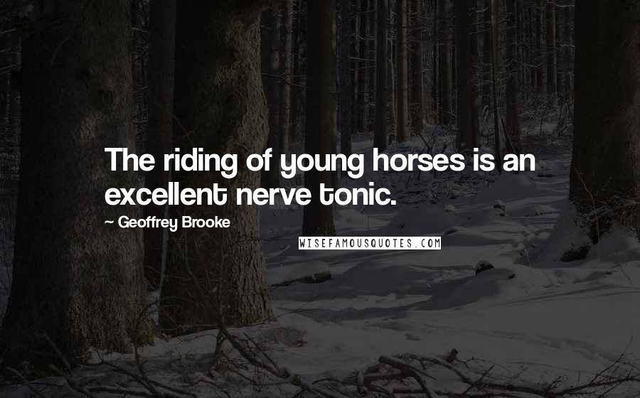 Geoffrey Brooke quotes: The riding of young horses is an excellent nerve tonic.