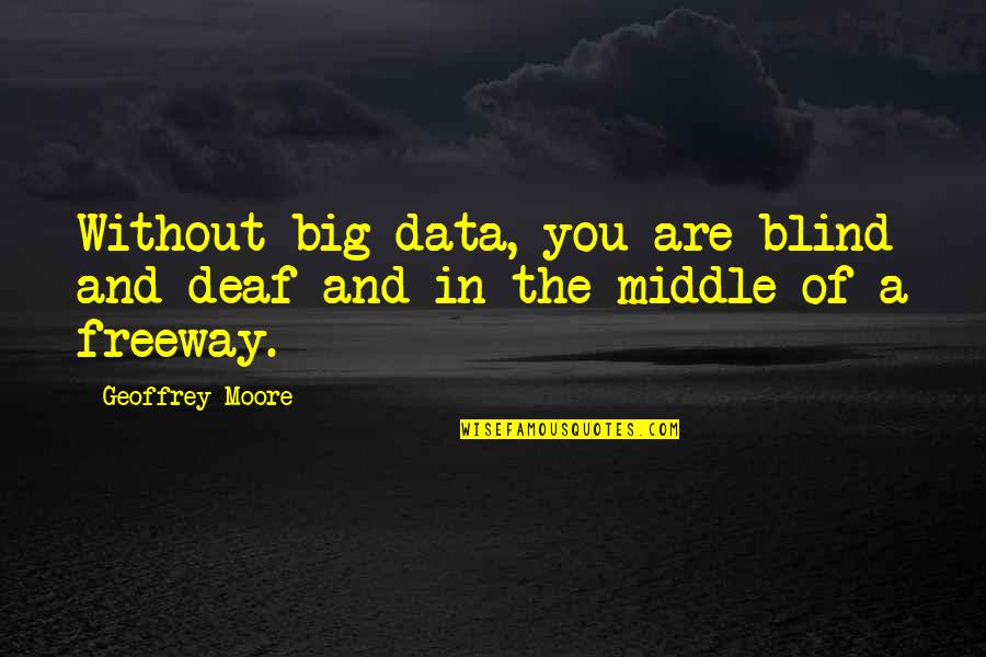 Geoffrey Moore Quotes By Geoffrey Moore: Without big data, you are blind and deaf