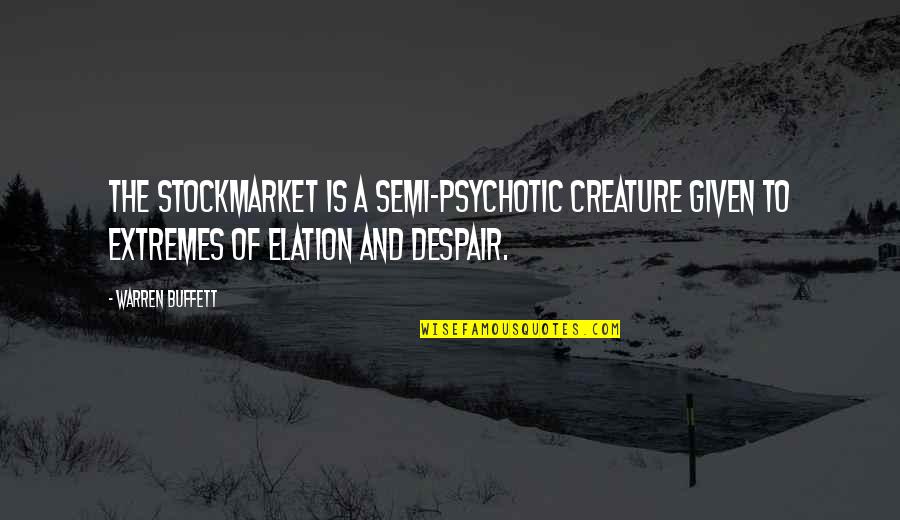 Geomorphology Quotes By Warren Buffett: The stockmarket is a semi-psychotic creature given to