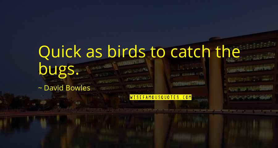 Geordie Shore Amsterdam Quotes By David Bowles: Quick as birds to catch the bugs.