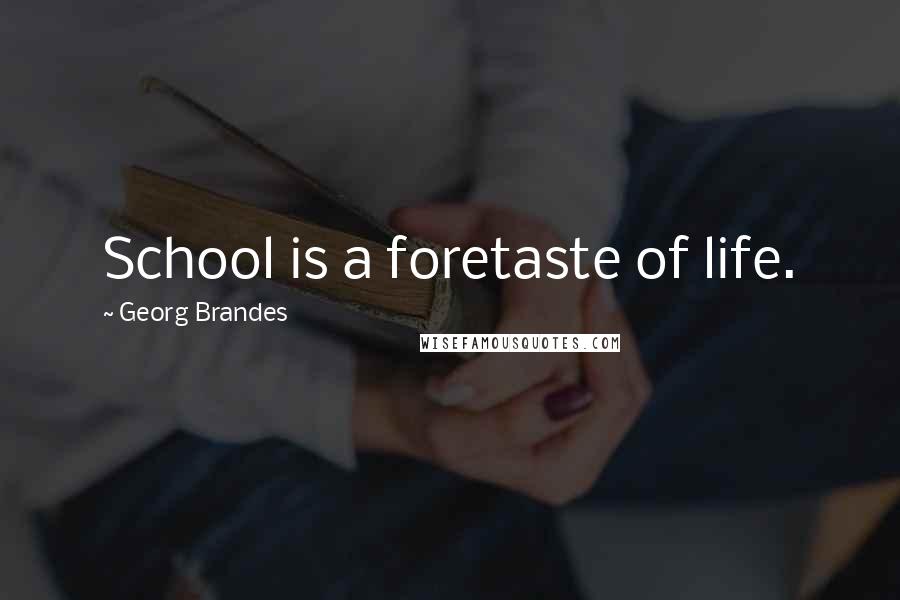 Georg Brandes quotes: School is a foretaste of life.