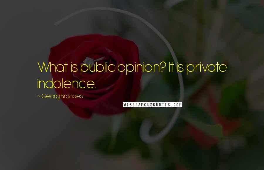 Georg Brandes quotes: What is public opinion? It is private indolence.