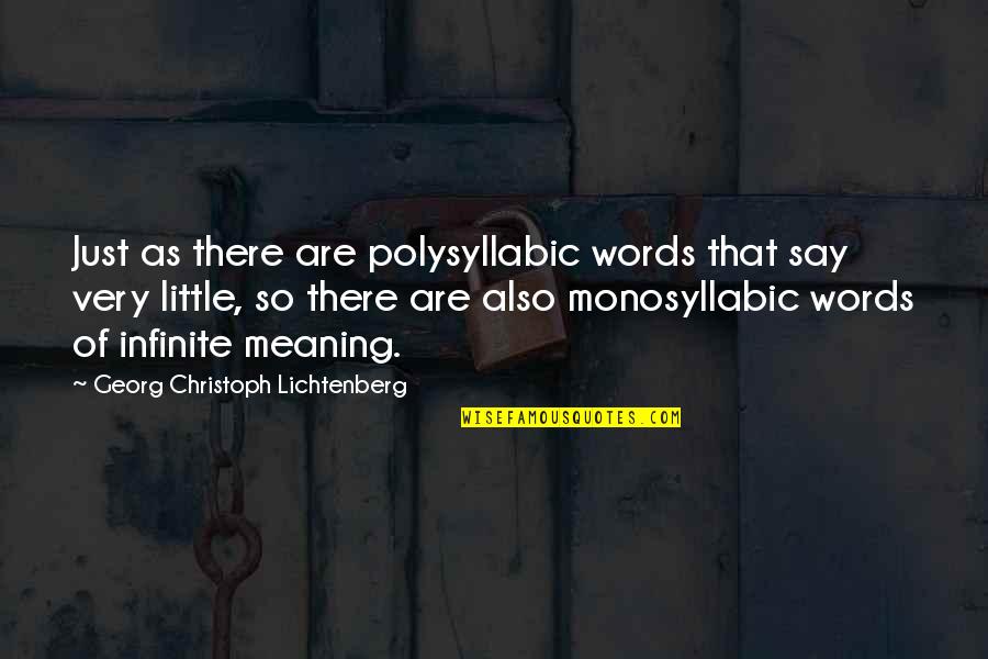 Georg Christoph Lichtenberg Quotes By Georg Christoph Lichtenberg: Just as there are polysyllabic words that say