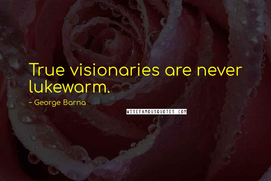 George Barna quotes: True visionaries are never lukewarm.