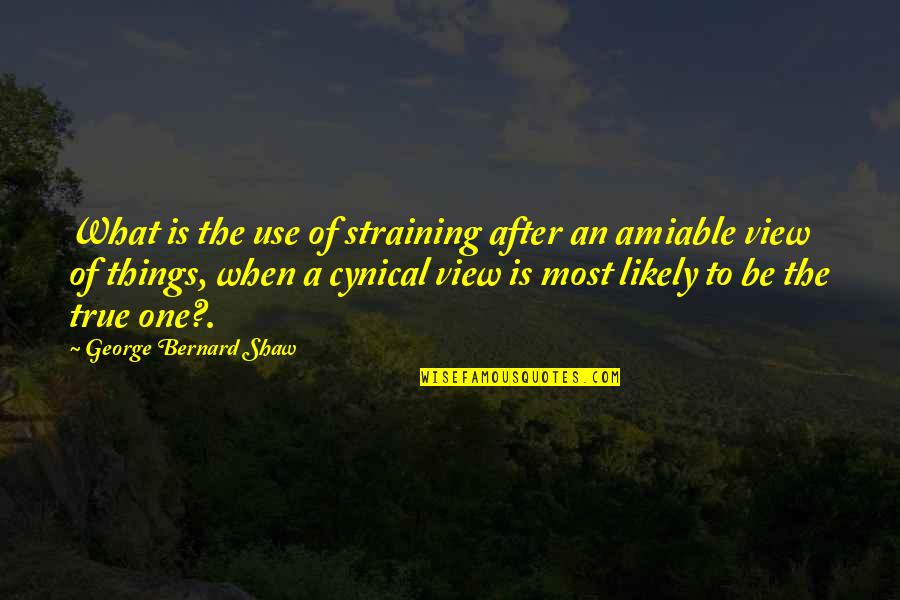 George Bernard Shaw Quotes By George Bernard Shaw: What is the use of straining after an