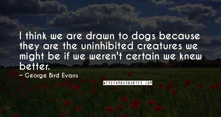 George Bird Evans quotes: I think we are drawn to dogs because they are the uninhibited creatures we might be if we weren't certain we knew better.