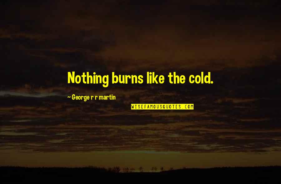George Burns Quotes By George R R Martin: Nothing burns like the cold.