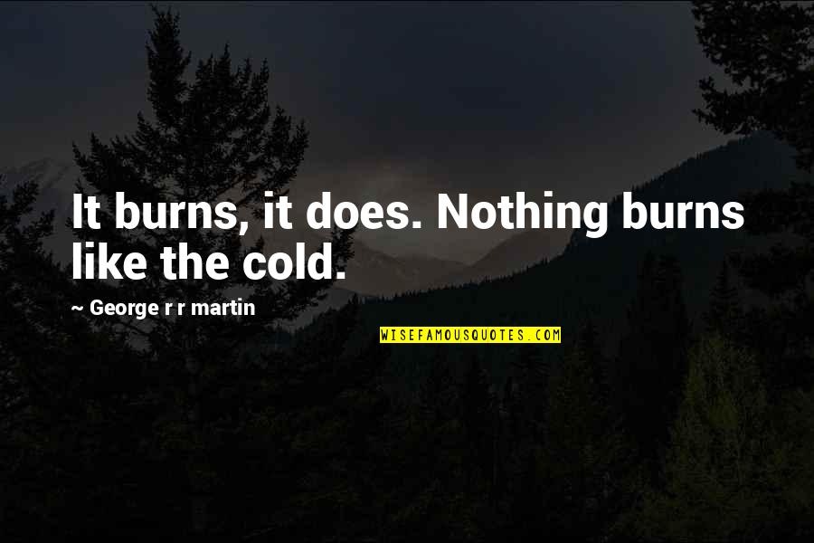 George Burns Quotes By George R R Martin: It burns, it does. Nothing burns like the